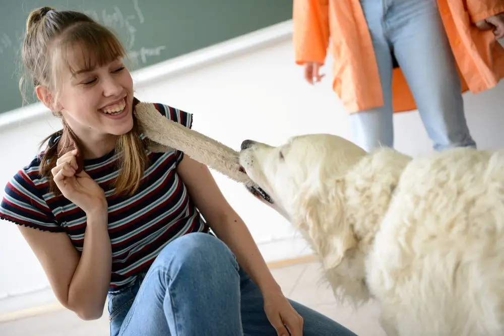 Nasmejana dijakinja v razredu se igra med dejavnostjo s šolskim terapevtskim psom