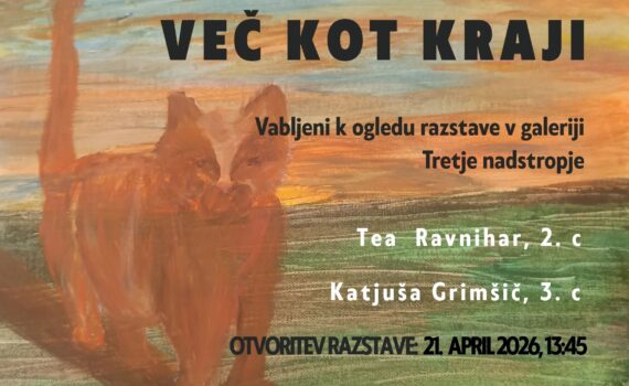 Spletna stran izd. vec kot kraji 1920 x 1080 pik 1 1